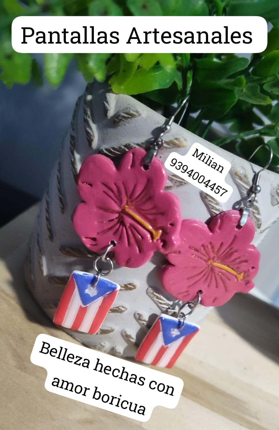 Pantallas Maga y Bandera de Puerto Rico